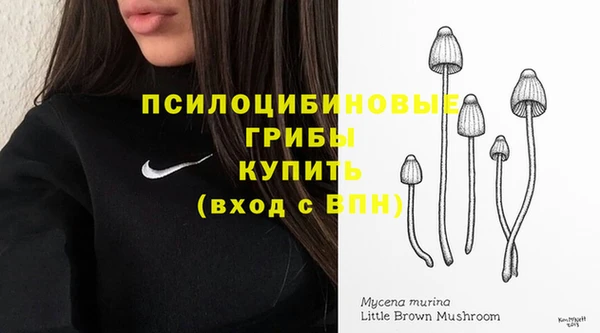 mdpv Армянск