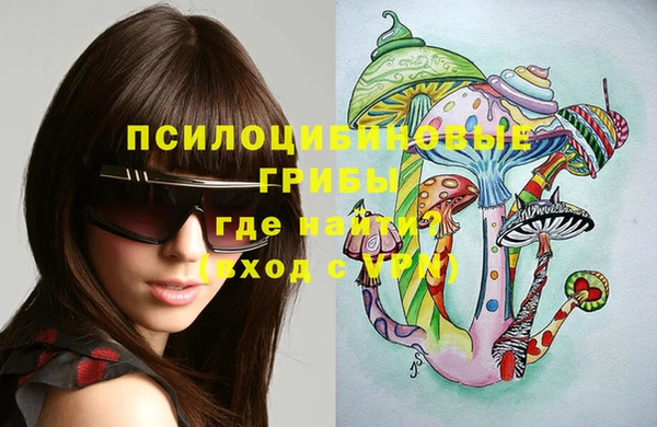 Альфа ПВП Арсеньев